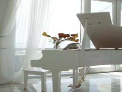 Miami Beach Luxury